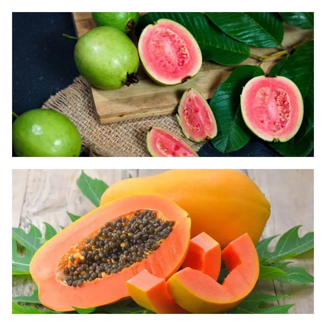 Guava vs. Papaya