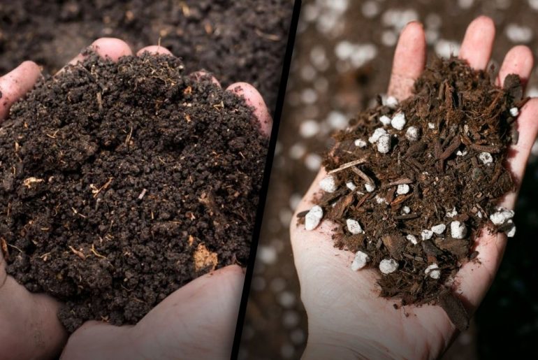 Garden Soil vs Potting Soil